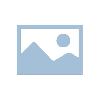 东莞市清溪华晟外国语学校旅行社的选择情况说明